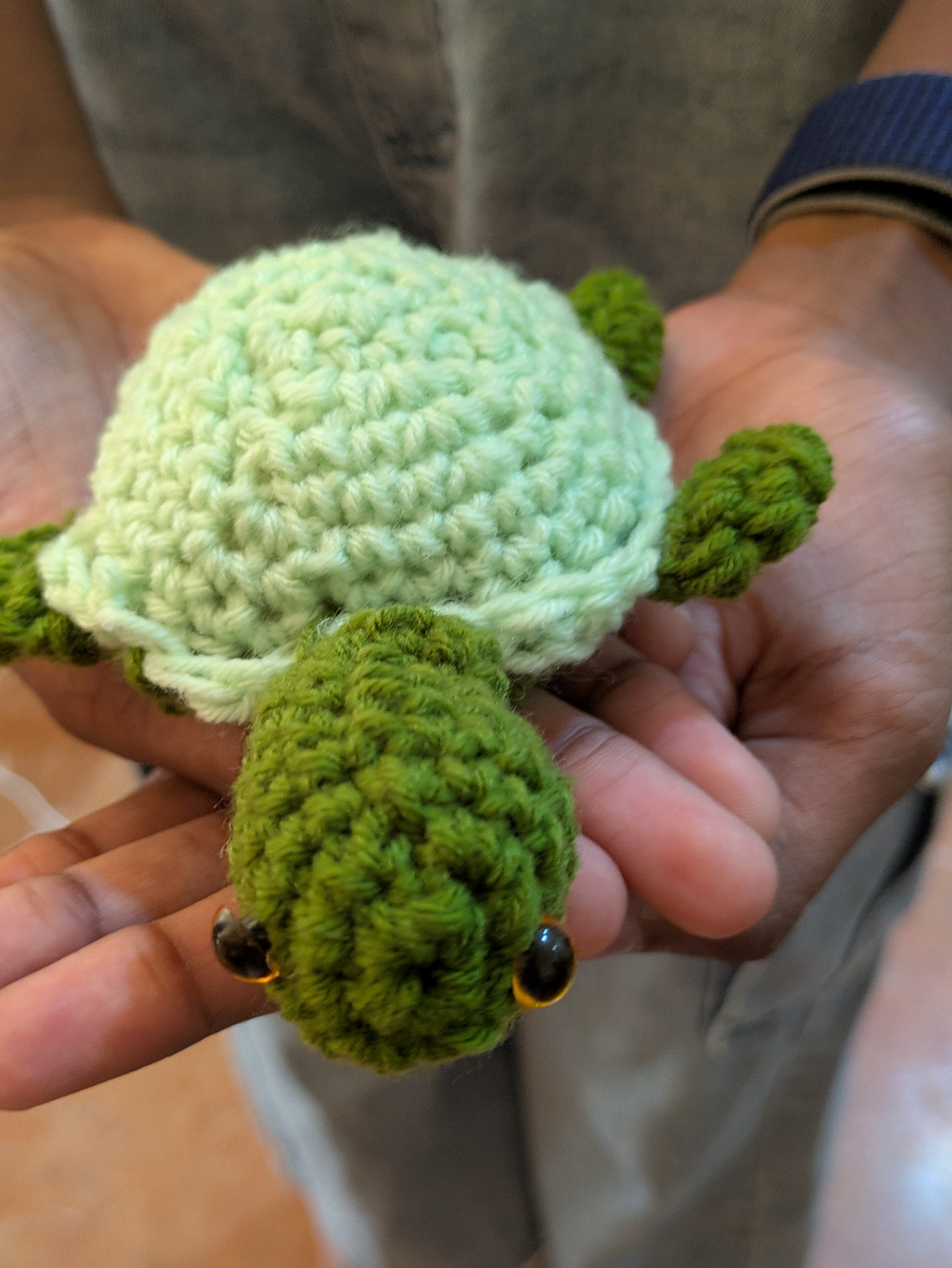 Turtle